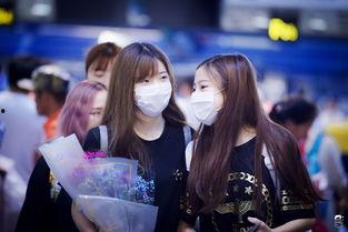 黑喵cp最新爆料是谁,神秘幕后黑手揭晓!”